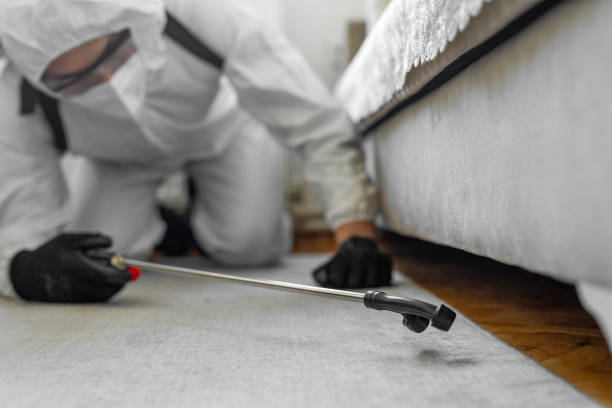 Professional Bed Bug Control technician working in Rainier, WA