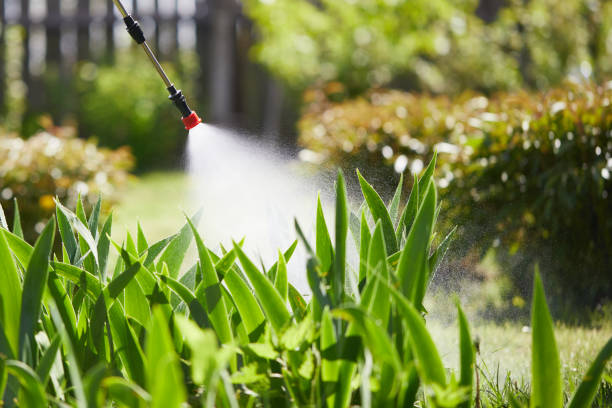 24/7 Emergency Bed Bug Control experts in Rainier, WA