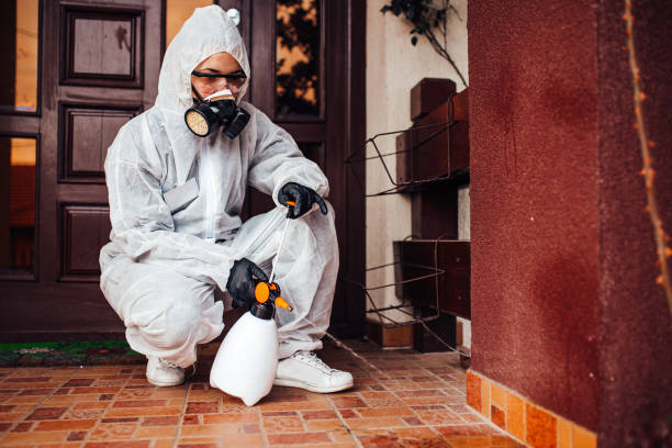 Reliable Bed Bug Control contractor in Rainier, WA by Nex Pest Control