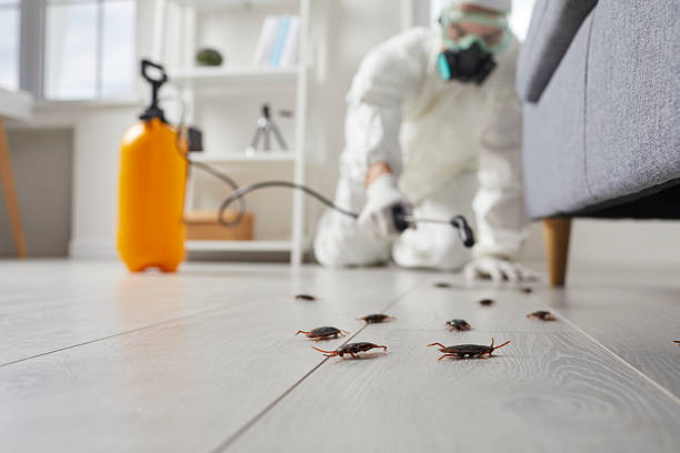 Trusted Fumigation Services service in Rainier, WA - Nex Pest Control